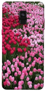 Чехол на Samsung A530 Galaxy A8 (2018) Flowers v9 фото 1 из 1