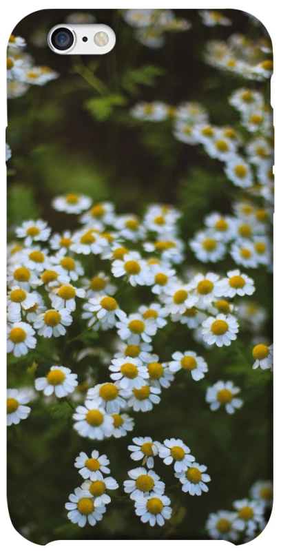 Чехол на Apple iPhone 6/6s (4.7") Ромашки v13 фото 1 из 1