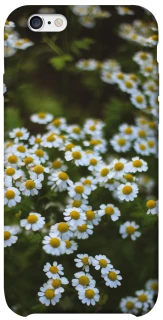 Чехол на Apple iPhone 6/6s (4.7") Ромашки v13 фото 1 из 1