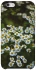 Чехол на Apple iPhone 6/6s (4.7") Ромашки v13 фото 1 из 1