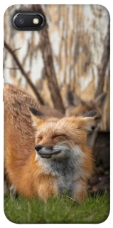 Чехол на Xiaomi Redmi 6A Лиса фото 1 из 1