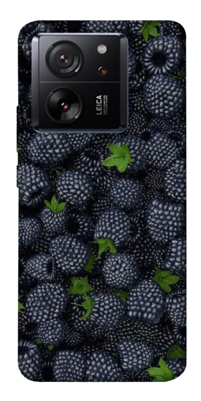 Чохол на Xiaomi 13T Fresh фото 1 з 1