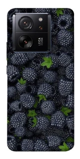 Чохол на Xiaomi 13T Fresh фото 1 з 1