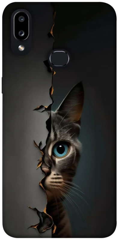 Чохол на Samsung Galaxy A10s Кіт-підглядач v2 фото 1 з 1