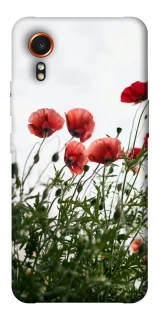 Чохол на Samsung Galaxy Xcover7 Поле маків фото 1 з 1