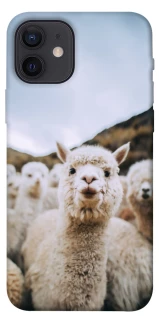 Чохол на Apple iPhone 12 (6.1") Лама фото 1 з 1