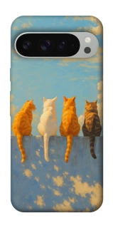 Чехол на Google Pixel 9 Pro XL cats on wall фото 1 Чехол на Google Pixel 9 Pro XL cats on wall фото 1 из 1