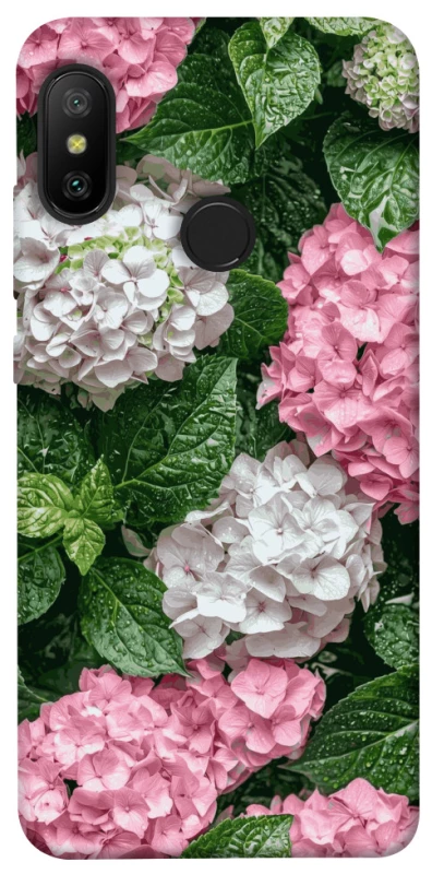 Чохол на Xiaomi Mi A2 Lite / Xiaomi Redmi 6 Pro Secret Garden фото 1 з 1