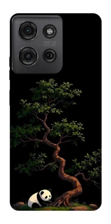 Чохол на Motorola Moto G75 Panda and tree фото 1 з 1