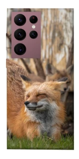 Чехол на Samsung Galaxy S22 Ultra Лиса фото 1 из 1
