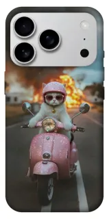 Чехол на Apple iPhone 18 Pro Max Exploding Kittens ver.3 фото 1 из 1
