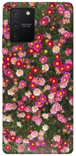 Чохол на Samsung Galaxy S10 Lite Flowers v8 фото 1 з 1