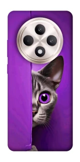 Чохол на Oppo Reno 12 F 4G/5G Кіт-підглядач фото 1 з 1