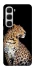 Чохол на Infinix Hot 60i Leopard v2 фото 1 з 1