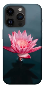 Чехол на Apple iPhone 14 Pro (6.1") Лотос фото 1 из 1