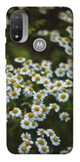 Чохол на Motorola Moto E20 Ромашки v13 фото 1 з 1