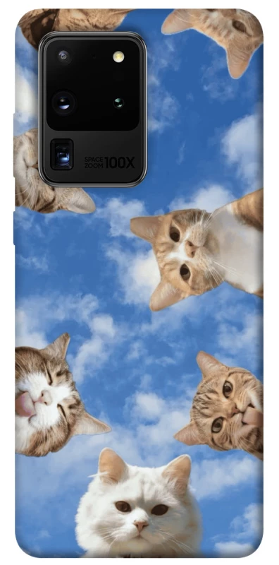 Чехол на Samsung Galaxy S20 Ultra Сats фото 1 из 1