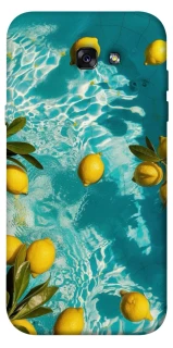 Чохол на Samsung A720 Galaxy A7 (2017) Lemon фото 1 з 1