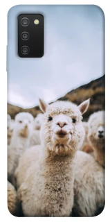 Чехол на Samsung Galaxy A03s Лама фото 1 из 1