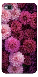 Чохол на Xiaomi Redmi 4a Garden1 фото 1 з 1