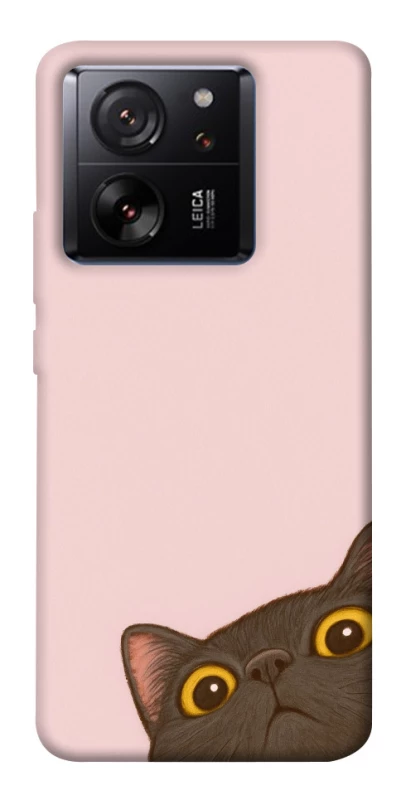 Чехол на Xiaomi 13T Peeping cat фото 1 из 1