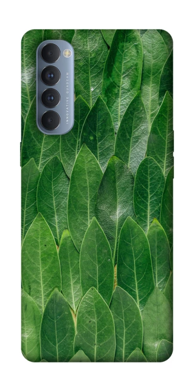 Чохол на Oppo Reno 4 Pro Листя фото 1 з 1
