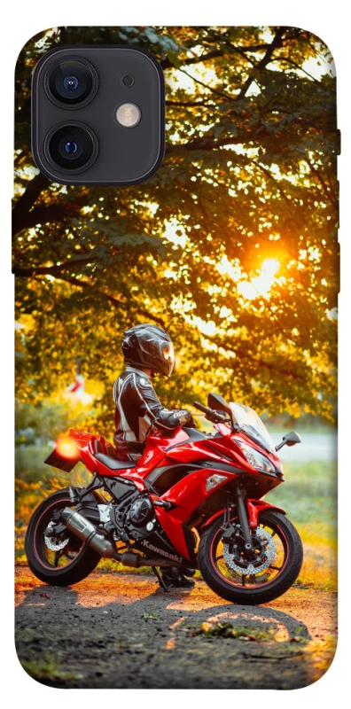 Чохол на Apple iPhone 12 (6.1") Промені заходу сонця фото 1 з 1