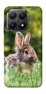 Чехол на Xiaomi 15T Кролики фото 1 из 1