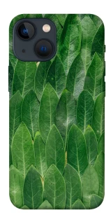 Чохол на Apple iPhone 13 mini (5.4") Листя фото 1 з 1