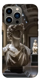 Чехол на Apple iPhone 13 Pro (6.1") statue фото 1 из 1