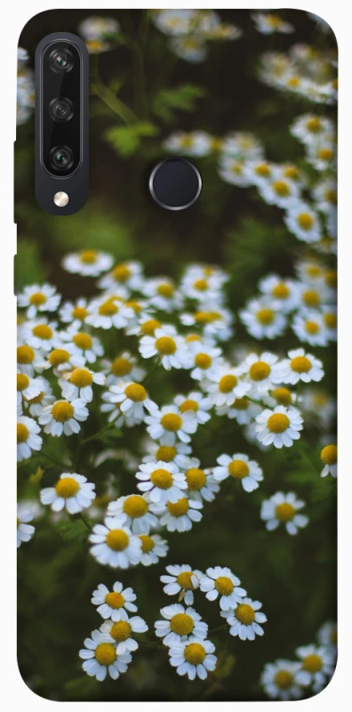 Чехол на Huawei Y6p Ромашки v13 фото 1 из 1