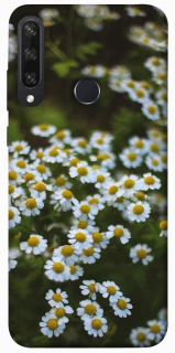 Чехол на Huawei Y6p Ромашки v13 фото 1 из 1