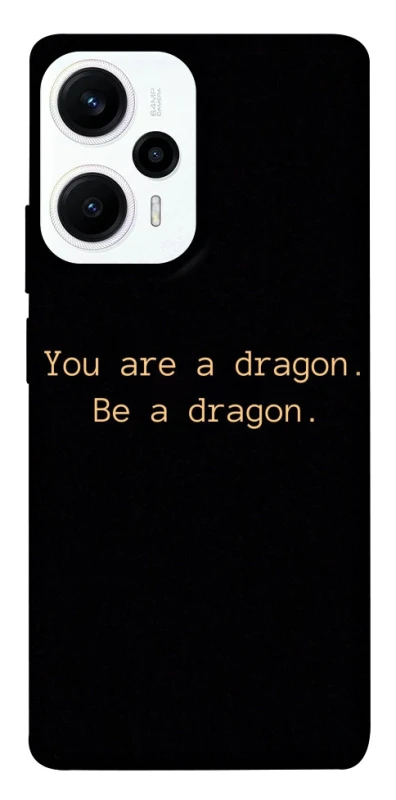 Чохол на Xiaomi Poco F5 / Note 12 Turbo House of the Dragon ver.9 фото 1 з 1