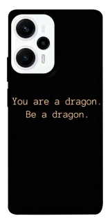 Чохол на Xiaomi Poco F5 / Note 12 Turbo House of the Dragon ver.9 фото 1 з 1
