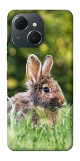 Чехол на TECNO Spark 40C Кролики фото 1 из 1