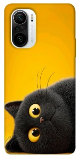 Чохол на Xiaomi Redmi K40 / K40 Pro / K40 Pro+ / Poco F3 This is Cat фото 1 з 1