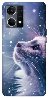 Чохол на Oppo Reno 7 4G Snow cat фото 1 з 1