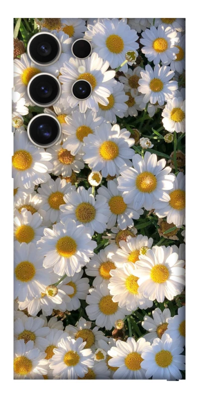 Чехол на Samsung Galaxy S25 Ultra Поле ромашек фото 1 из 1