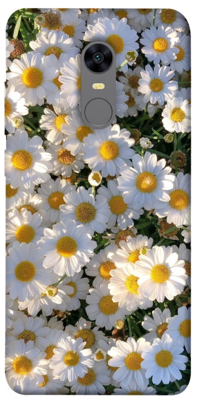 Чохол на Xiaomi Redmi 5 Plus / Redmi Note 5 (Single Camera) Поле ромашок фото 1 з 1