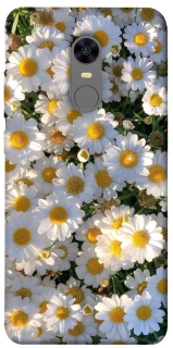 Чохол на Xiaomi Redmi 5 Plus / Redmi Note 5 (Single Camera) Поле ромашок фото 1 з 1