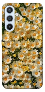 Чехол на Samsung Galaxy A54 5G Camomile фото 1 из 1