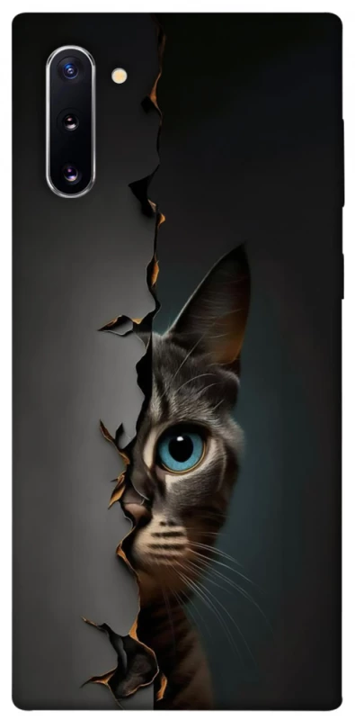 Чехол на Samsung Galaxy Note 10 Кот-подглядыватель v2 фото 1 из 1