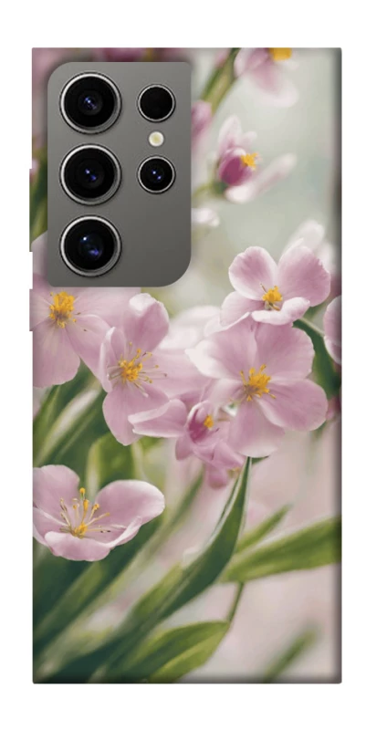 Чехол на Samsung Galaxy S24 Ultra Spring фото 1 из 1