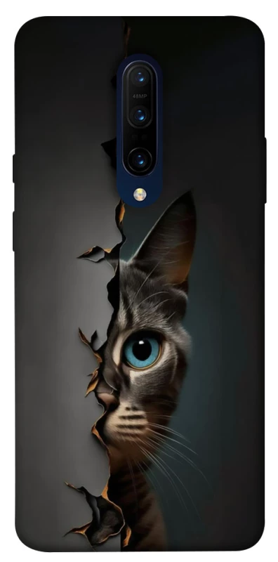 Чехол на OnePlus 7 Pro Кот-подглядыватель v2 фото 1 из 1