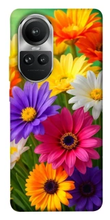 Чохол на Oppo Reno 10 Flowers v32 фото 1 з 1