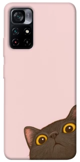 Чохол на Xiaomi Poco M4 Pro 5G Peeping cat фото 1 з 1