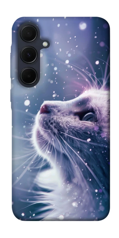 Чехол на Samsung Galaxy A55 Snow cat фото 1 из 1