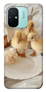 Чохол на Xiaomi Redmi 12C / Poco C55 Easter Vibes фото 1 з 1