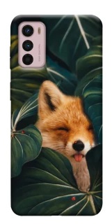 Чохол на Motorola Moto G42 Fox фото 1 з 1