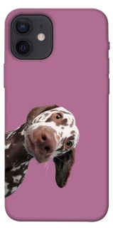 Чохол на Apple iPhone 12 (6.1") А що тут фото 1 з 1